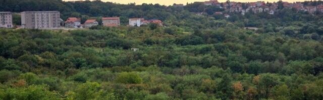 Kreni-Promeni na Međunarodni dan šuma: Srbija ispod evropskog proseka