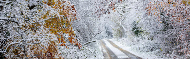 U TOKU NOĆI OPASNA POJAVA, UJUTRU ĆE DA MRZNE Oglasio se RHMZ novim hitnim upozorenjem