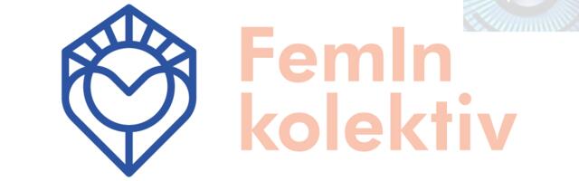 FemIn kolektiv: Ko štiti poslanice ako to ne radi policija?