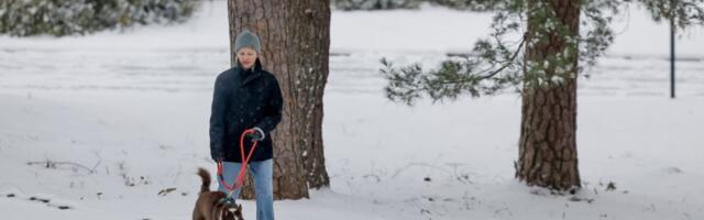 Mali gest, velika pomoć: Evo kako vaša kupovina može da nahrani stotine napuštenih životinja