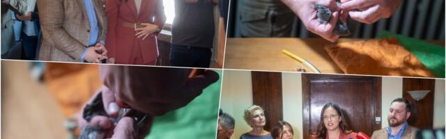MINISTARKA SAVA PAVKOV OBIŠLA BELE ČIOPE KOJE SU PRSTENOVANE: Briga o ovim, ali i drugim zaštićenim vrstama, su odgovornost i dužnost, a ne politika!