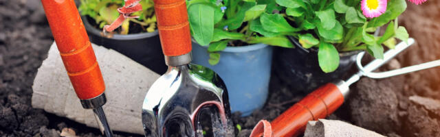 8 osnovnih baštenskih alata koje treba da imate