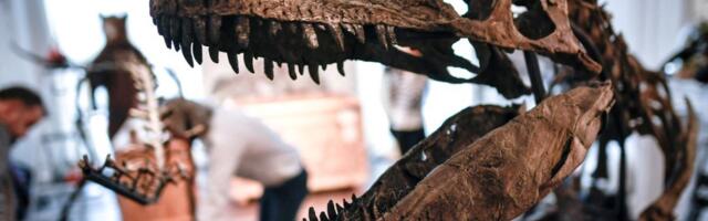 NAUČNICI KONAČNO REŠILI NAJVEĆU TAJNU SVEMIRA! Otkriveno šta je tačno zbrisalo dinosauruse sa lica Zemlje: Imali su jezivu nesreću! (VIDEO)