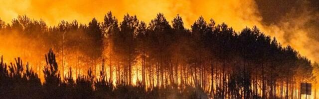 Zveri panično traže izlaz iz paklenog obruča: Užas u Francuskoj postaje sve veći (FOTO/VIDEO)