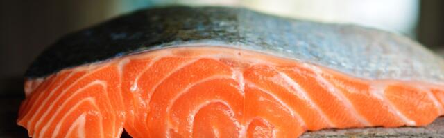 Ovih pet namirnica imaju više omega-3 masnih kiselina od lososa