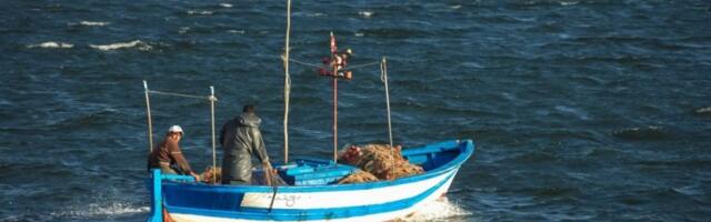 ŠOK U JADRANSKOM MORU! Ribari van sebe kad su videli STVORENJE KOJE JE IZAŠLO IZ VODE: Sija kao srebro, izgleda kao KAIŠ! Evo šta je USLEDILO (VIDEO)