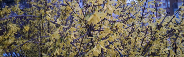 Prohladno jutro, a tokom dana pretežno sunčano i toplo