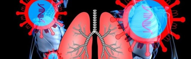 OVIH 5 BILJAKA POMOĆI ĆE VAM DA OJAČATE PLUĆA! Bore se protiv virusa, a jedna nam je DOBRO POZNATA