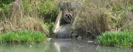 Skupština Zrenjanina odobrila projekat za prečišćavanje otpadnih voda