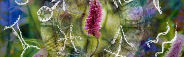 Proleće 2026. okreće karmu, posle dugog haosa stiže olakšanje: Za ova 4 znaka proleće 2026. donosi VELIKI OBRT