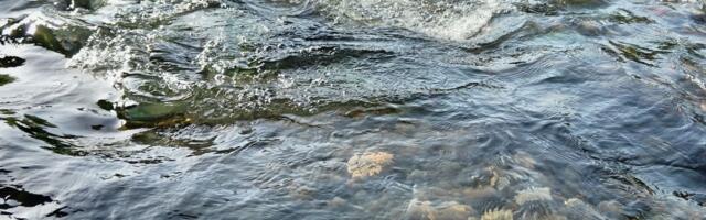 Reka Spreča preti izlivanjem iz korita: Voda je već došla do poljoprivrednih površina