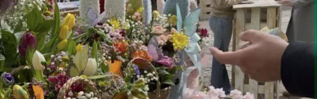 653.300 dinara za samo jedan dan! Mitrovica pokazala veliko srce – građani se ujedinili za šestoro sugrađana