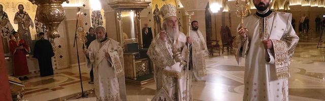 М. Степић: Црква, струка, политика
