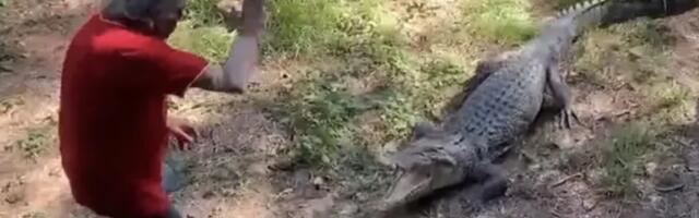 Australijanac otkucao krokodila tiganjem i oterao ga sa imanja