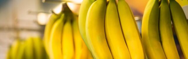 Banane sve ugroženije zbog klimatskih promena