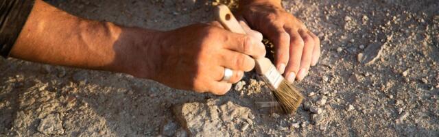 Šok otkriće na jugu Srbije: Na gradilištu otkriven grob iz 19. veka sa misterioznim natpisom