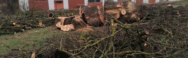 Kome smeta zapis, simbol vere, u Mrsaću?