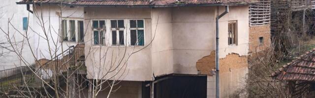 Naše bake su jednu biljku uvek držale iza ulaznih vrata: Verovalo se da čuva dom od zla i nedaća