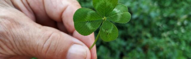 Nove olakšice za poljoprivrednike: Za deo podsticaja više nisu potrebni računi