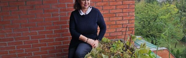 Platan kao svedok istorije: Izložba Slobodanke Rakić Šefer u Beogradu