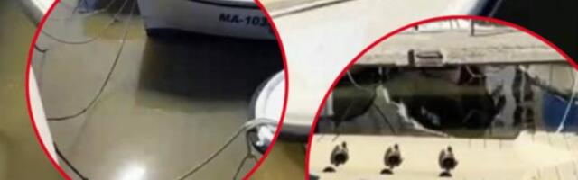 Alarm na hrvatskom Jadranu: Smeđa voda, smrad i fekalije u lukama pred turističku sezonu