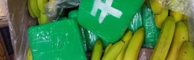 Radnje u Češkoj zajedno sa bananama dobile isporuke kokaina