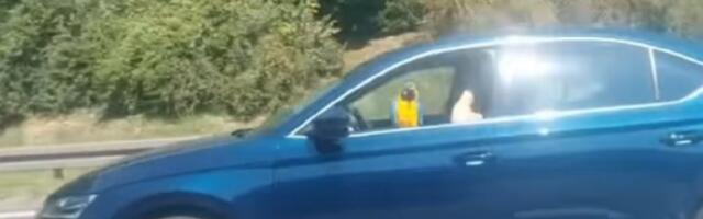 Vozi papagaja kroz Beograd (VIDEO)