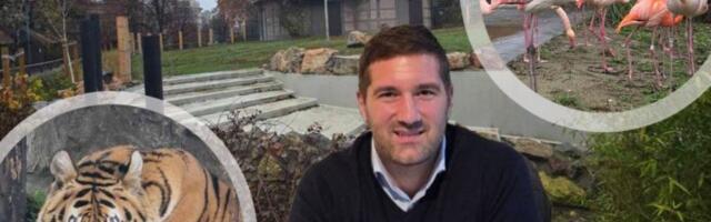 BEOGRADSKI ZOOLOŠKI VRT PRED VELIKIM JUBILEJOM! Direktor Beogradskog zoološkog vrta otkriva: Godina slonice Maje, belih medveda i najvećih investicija do sada! (VIDEO)