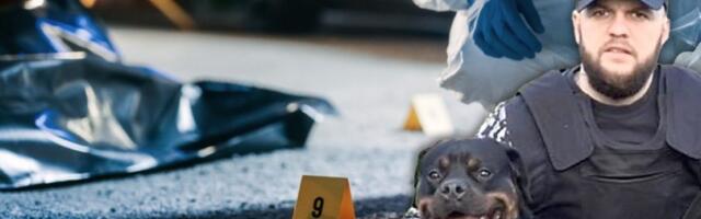 Osuđen ubica "škaljarca": Ibrahimović sve priznao -"Nisam mogao da spavam zbog njega, maltretirao me"