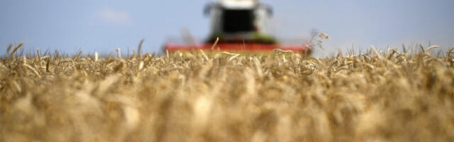 Министарство пољопривреде објавило календар подстицаја за 2026. годину