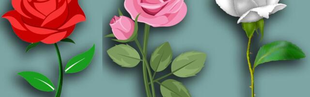 TEST LIČNOSTI: Odabir ruže otkriva istinu - šta ona govori o tome kako izlazite na kraj sa stresom