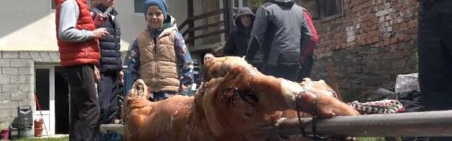Ovo je neverovatno: Evo kako se proslavlja Prvi maj na ivanjičkim brdima (FOTO/VIDEO)