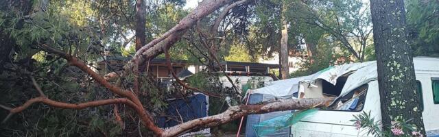 Pijavica uništila kamp naselje u Lošinju: Ima povređenih! Počupano 50 borova