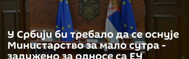 У Србији би требало да се оснује Министарство за мало сутра - задужено за односе са ЕУ