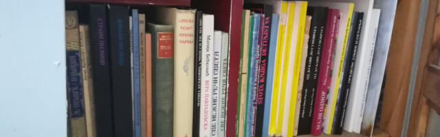 Pirotskim bibliotekarima kasni plata – hteli da im umanje zbog jednosatnog štrajka, ali sistem to ne ume