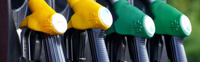 Мићовић: Горива има довољно, нема засад повећане потражње