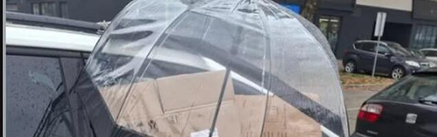 Parkirala auto, pa sutradan zatekla nesvakidašnju scenu: "Neka mi se gospođa javi"