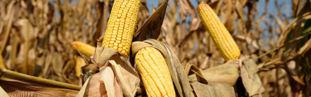 Pelet ima jaku konkurenciju: Za mnoge je ovo jeftina alternativa da zagreju svoj dom