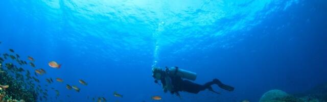 DRAMATIČNO UPOZORENJE naučnika: Postoji pretnja od masovnog izumiranja - najgore će proći ova stvorenja