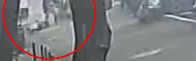 POJAVIO SE UZNEMIRUJUĆI SNIMAK BRUTALNOG NAPADA NA DORĆOLU: Nokautirao staricu, šutirao psa, pa tukao bolesnog čoveka! (video)