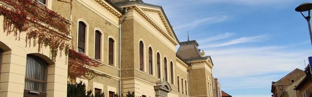 Vođenja kroz izložbu "Umetnička zbirka Matice srpske" i kroz zgradu Matice srpske za vikend