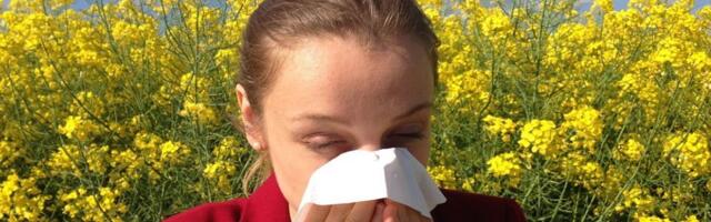Ako se mučite sa alergijama: Ovo su najefikasniji preparati za ublažavanje simptoma