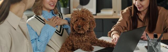 Generacija Z ima novi trend: Podrazumeva termin "cracked" i treba da zabrine roditelje (VIDEO)