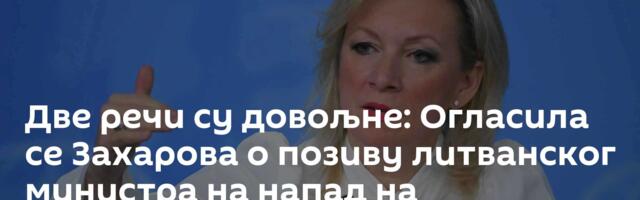 Две речи су довољне: Огласила се Захарова о позиву литванског министра на напад на Калињинград