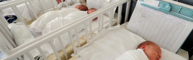 BEJBI BUM U NOVOSADSKOJ KLINICI: Za 24 časa rođeno 24 bebe, među njima i blizanci