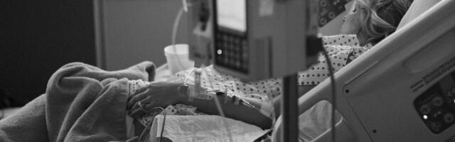 Oglasio se Batut zbog lepre