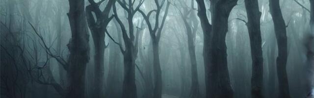 Stavili kamere u šumu, a ona usnimila ovo: Niko nije verovao da je ovako nešto moguće