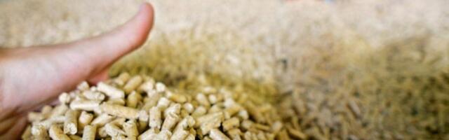 Marinković (Vojvodinašume): Cena peleta 47.000, a ne bi smela da pređe 35.000 dinara