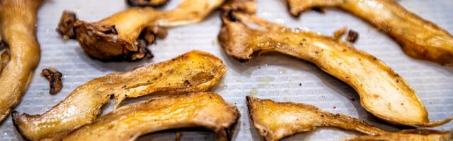 Studija pokazala: Proteini iz gljiva podjednako efikasni kao meso, a imaju i dodatne zdravstvene prednosti