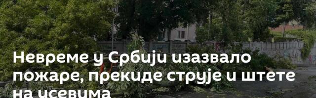 Невреме у Србији изазвало пожарe, прекиде струје и штете на усевима